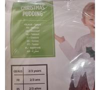 Child Christmas Pudding Fancy Dress Novelty Costume (12-18 Months)