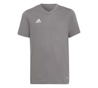 Child's T-shirt adidas Entrada 22 Gris 9/10 ans