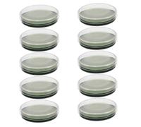 CHILDWEET 10pcs 6cm Agar Petri Dishes for Laboratory Use Microbiology Culture Plates for Science Experiments and Industrial Application