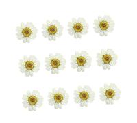 CHILDWEET 12pcs White Dried Daisy Flowers Handmade DIY Nail Art Accessories Pressed Flower Craft Materials for Jewelry Photo Frame Decoration