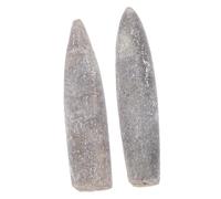 CHILDWEET 2pcs Natural Belemnite Specimens Mineral Stone Adornments for Geology Education and Home Decoration Authentic Collection for Teaching and Paleontology Enthusiasts