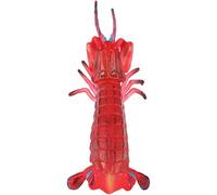 CHILDWEET Wear-Resistant Plastic Animal Model for, Adorable Sensory Learning for Boys and, Small Educational Biology Plaything Suitable for and