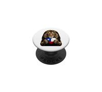 Chile Flag Heart Pride Country Heritage Lion Chilean PopSockets Adhesive PopGrip