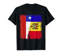 Chile Moldova Half Flag Chilean Moldovan Heritage T-Shirt