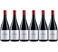 Chilean Red Wine Gift Case - Torres La Causa Cinsault - Chile 6 x 75cl