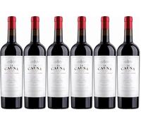 Chilean Red Wine Gift Case - Torres La Causa Red Blend - Chile 6 x 75cl