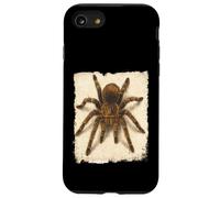 Chilean Rose Tarantula Rose Hair Spider Arachnid Lovers Case for iPhone SE (2020) / 7/8