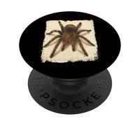 Chilean Rose Tarantula Rose Hair Spider Arachnid Lovers PopSockets Adhesive PopGrip