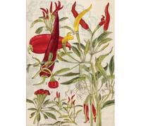 Chili Peppers & Shiso Leaves Blank Hardcover Journal : Blank Notebook with Ribbon Bookmark