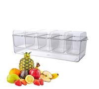 Chilled Serving Tray, Compartment Serving Tray, Ice Chilled Serving Platter, Condiment Server, Clear Ice Condiment Servings Tray with Removable Compartments for Birthday Holiday