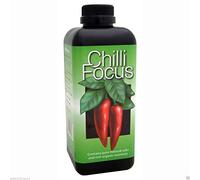 chilli focus 100ml FREE PIPPET