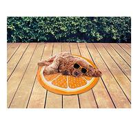 Chilli Paws Pet Stay Cool Fruit Mat - Orange