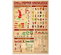 Chilli Pepper Knowledge Psychology Knowledge Metal Tin Signs Color Psychology Infographics Reading Posters Psychologist Reference Guide Plaques Office Clinic Room Home Wall Decor 12x16 inchses
