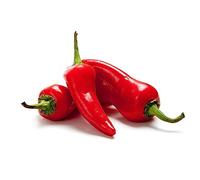 Chilli Plants, 'Super Fresno', 2 x Full Plants in 9cm Pots, Chillies, Pepper, Hot Chilli, Garden Ready and Ready to Plant, Premium Quality Chillies