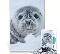 Chilly Serenity Seal 1000 Piece Jigsaw Puzzle for Adults Creative Fun Sharp Color Fun Challenge Birthday Art Gift (38x52cm)
