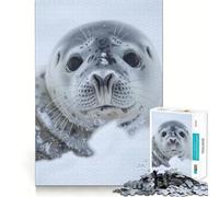 Chilly Serenity Seal Teenagers 1000 Piece Jigsaw Puzzle Brain Skill Quality Print Pattern Build Ideal Decor (50x75cm)