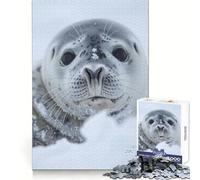 Chilly Serenity Seal Teenagers 1000 Piece Jigsaw Puzzle Brain Skill Quality Print Pattern Build Ideal Decor (50x75cm)
