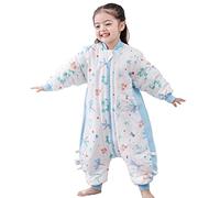 Chilsuessy Baby Sleeping Bag with Feet 2.5 Tog Toddler Sleeping Sack with Removable Sleeves Winter Nursery Wearable Blankets for Infant Boys Girls Super Soft, Dragon-Fly, M/2-3 Years