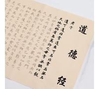 China copybook, Archaize Temple Hand Copying Scriptures Handwriting Practice Calligraphy Copybook