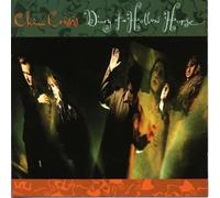 CHINA CRISIS - Diary of a Hollow Horse