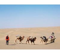 China - Xinjiang - The Taklamakan Desert