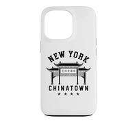 Chinatown New York Manhattan Chinese NYC 212 917 Dragon NY Case for iPhone 13 Pro