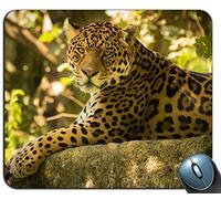 chincha the jaguar Personalized Rectangle Mouse Pad,Printed Non-Slip Rubber Comfortable Customized Computer Mouse Pad Mouse Mat Mousepad