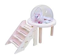 Chinchilla Bath House - Sandbox for Small Animals, Transparent Chinchilla Sand Bath with Ladder - Grooming, Digging, Home Decoration, Gerbil Cage and Rabbits