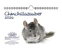 Chinchilla Magic DIN A5 Calendar for 2026 Chinchilla Gift Set Contents: 1 x Calendar, 1 x Christmas Pendant, 1 x Greeting Tag (Total 3 Pieces)