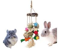 Chinchilla Toys | Natural Bunny Chew Toys Boredom Breakers,Edible Gnawing Treat Natural Boredom Relief for Small Animals Pets Chinchillas Ferrets Hamsters