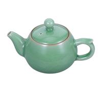 Chinese Ceramic Teapot for Brewing Tea Elegant Kung Fu Style