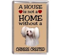 Chinese Crested Dog No. 2. (Powder Puff) Fridge Magnet "A House is Not a Home Without "