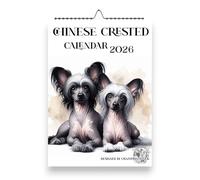 Chinese Crested Dog Wall Calendar 2026, A4 Size 21.0 x 29.7 cm, Monthly Format with UK & US Holidays, White,Chinese Crested Gifts,Handmade,Crestie Dogs,Dogs 2026,Hairless Dogs 2026,Crestie