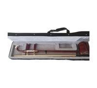 Chinese Erhu Instrument Rosewood Copper Shaft Hexagonal Erhu Learning Instrument With Case And Accessories
