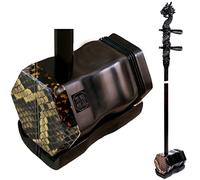 Chinese Erhu, Sandalwood Erhu Two-Stringed Chinese Violin With Engraved Dragon Head Black Including Learning Book