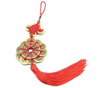 Chinese Feng Shui Coins for Wealth and Success (6 Coins)