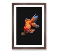 Chinese Golden Fish Painting Framed Print | A2 Walnut Framed Wall Art | Ready to Hang | Modern Animal Picture | Living Room Bedroom Lounge Office