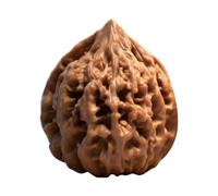 Chinese Hand Exercise Walnuts Hand Fidget for Focus