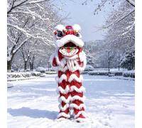 Chinese Lion Dance Traditional Silk Dragon Dance Costume for Festivals, Suitable for Heights of 100-185 Cm