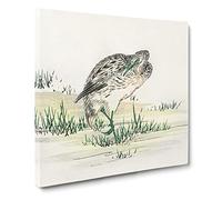 Chinese Little Bittern Bird by Numata Kashu Asian Japanese Canvas Wall Art Print Ready to Hang, Framed Picture for Living Room Bedroom Home Office Décor, 20x20 Inch (50x50 cm)