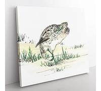 Chinese Little Bittern Bird by Numata Kashu Asian Japanese Canvas Wall Art Print Ready to Hang, Framed Picture for Living Room Bedroom Home Office Décor, 35x35 cm (14x14 Inch)
