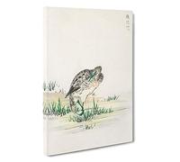 Chinese Little Bittern Bird by Numata Kashu Canvas Print | Gallery Wrapped 30mm Frame Wall Art | 30x20 inches | Ready to Hang | Modern Animals Picture | Living Room Bedroom Lounge Office