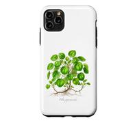 Chinese Money Plant illustration Pilea peperomioides Case for iPhone 11 Pro Max