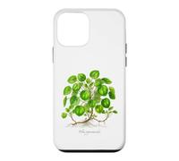 Chinese Money Plant illustration Pilea peperomioides Case for iPhone 12 mini