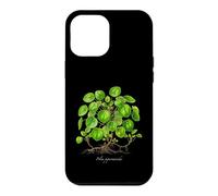 Chinese Money Plant illustration Pilea peperomioides Case for iPhone 12 Pro Max