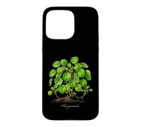 Chinese Money Plant illustration Pilea peperomioides Case for iPhone 15 Pro Max