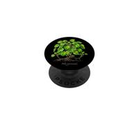 Chinese Money Plant illustration Pilea peperomioides PopSockets Adhesive PopGrip