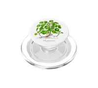 Chinese Money Plant illustration Pilea peperomioides PopSockets PopGrip for MagSafe