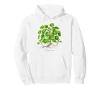 Chinese Money Plant illustration Pilea peperomioides Pullover Hoodie
