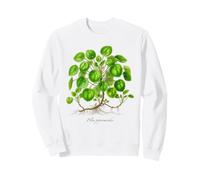Chinese Money Plant illustration Pilea peperomioides Sweatshirt